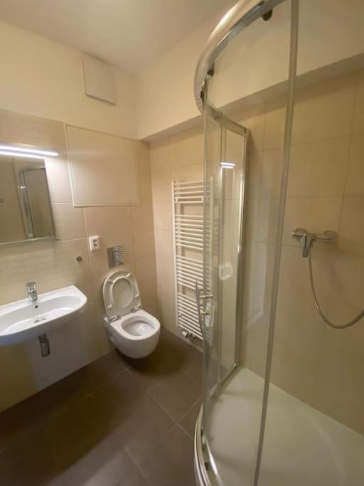 Garden Apartment Karolina Οστράβα Εξωτερικό φωτογραφία
